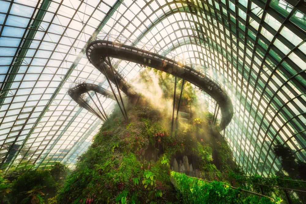 Cloud Forest in Gardens by the Bay